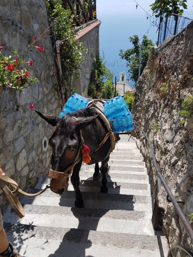 Estate4Home - Goat Path Positano Exterior photo